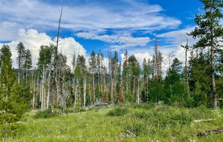 Shay Way Photo