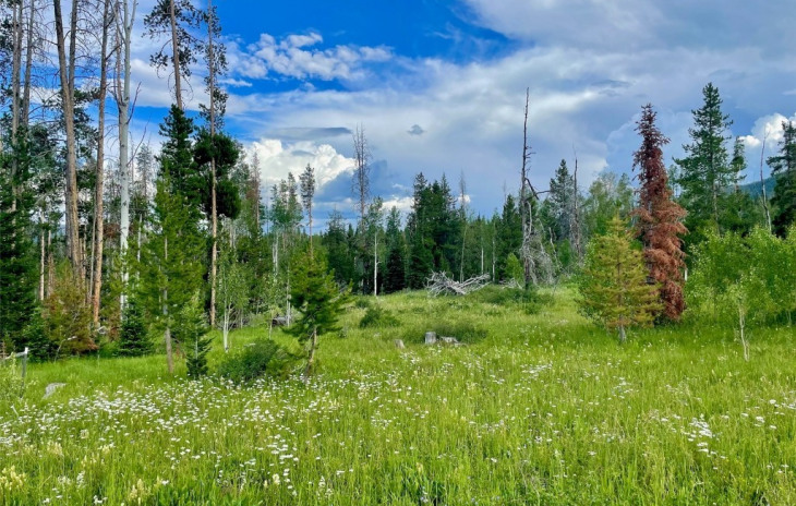 Shay Way Photo