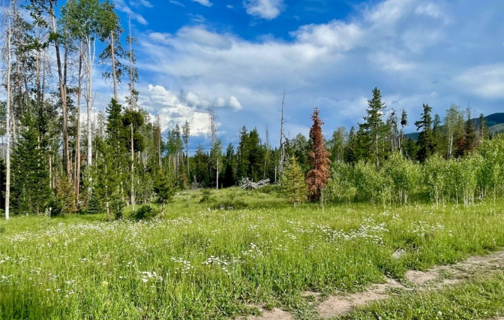 Shay Way Photo