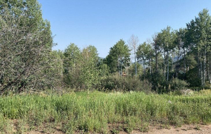 22975 Snowbird Way Photo