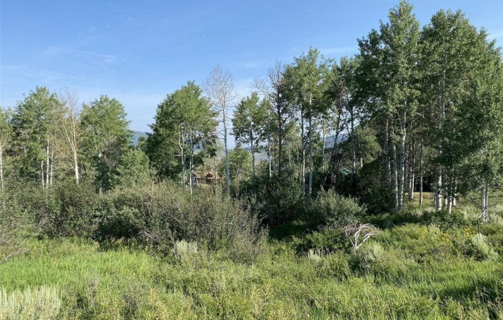 22975 Snowbird Way Photo