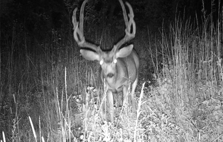 24345 Old Tram Way Photo