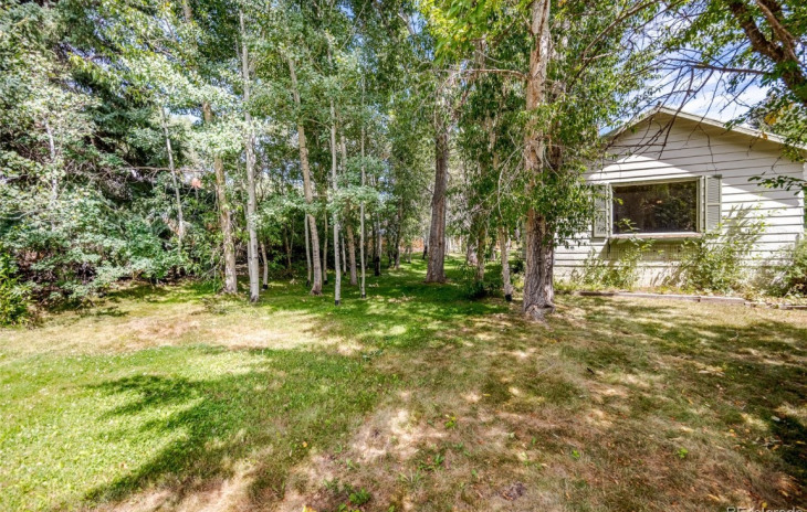 1006 Boulevard The Photo