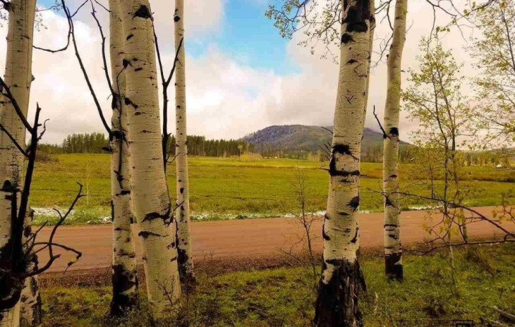Lot 23 Horseback Subd At Stagecoach Photo
