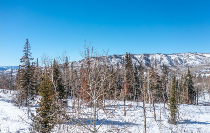 33650 County Road 38 Photo