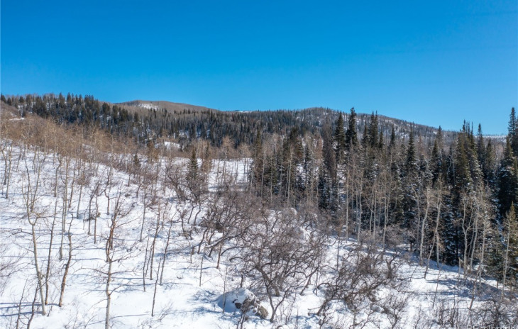 33650 County Road 38 Photo