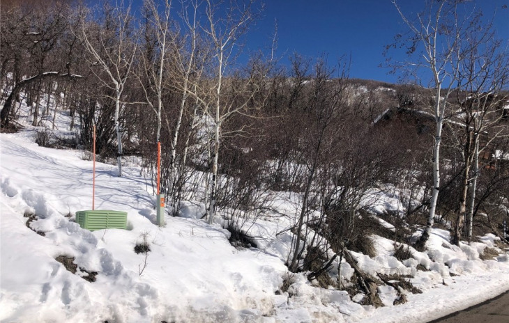 Ski Trail Lane Photo