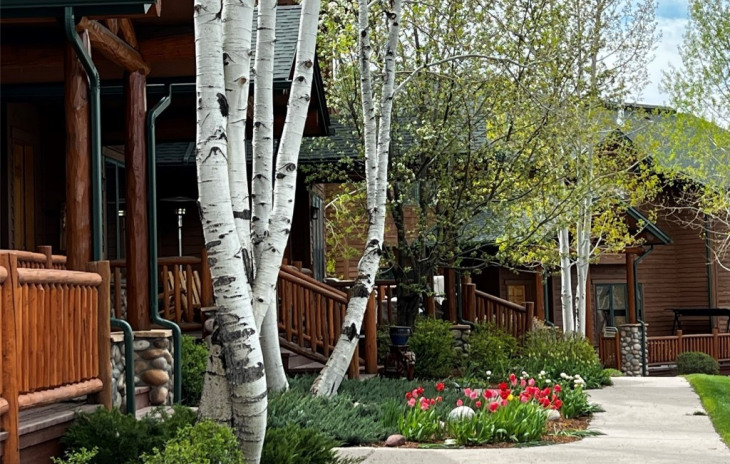 3457 Spring Valley Drive Photo
