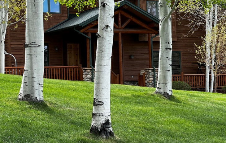 3457 Spring Valley Drive Photo