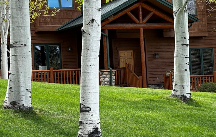 3457 Spring Valley Drive Photo