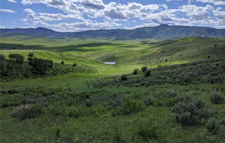 22982 County Road 54 Photo