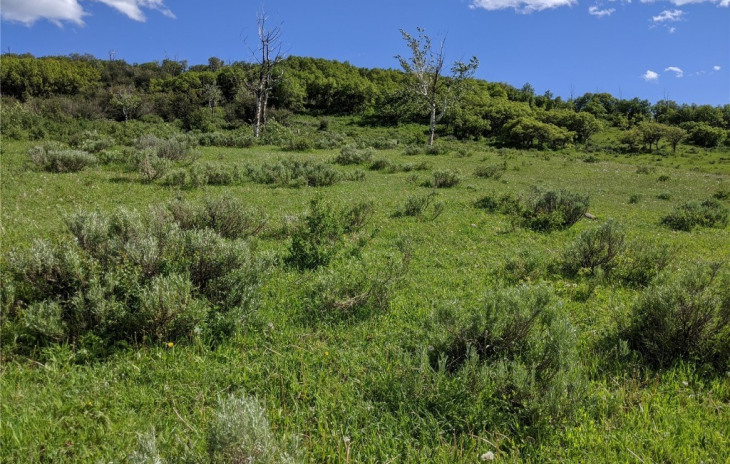 22982 County Road 54 Photo