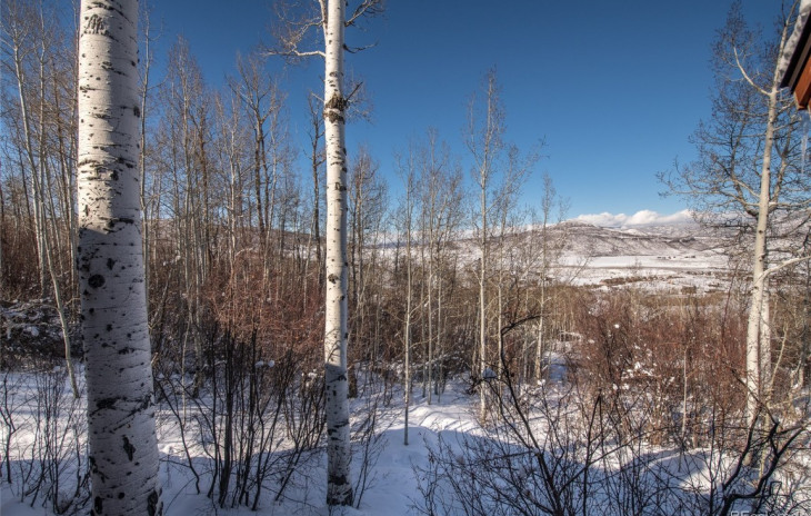 23015 Schussmark Trail Photo