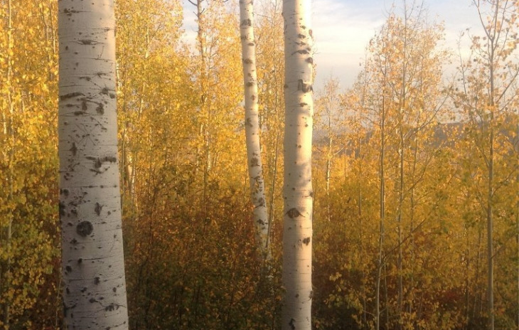 23015 Schussmark Trail Photo