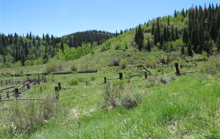 39300 County Road 50 Photo