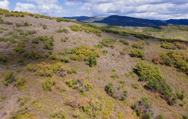 39300 County Road 50 Photo
