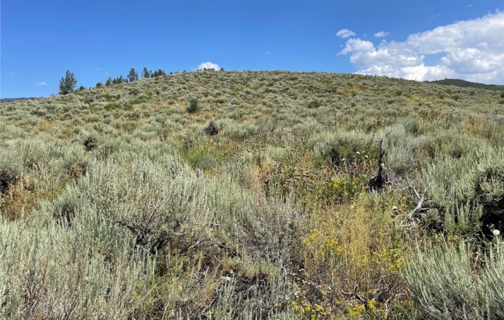 24806 Arapahoe Road Photo