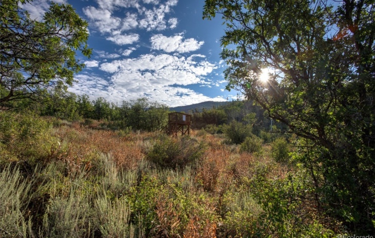 34020 Meadow Creek Drive Photo