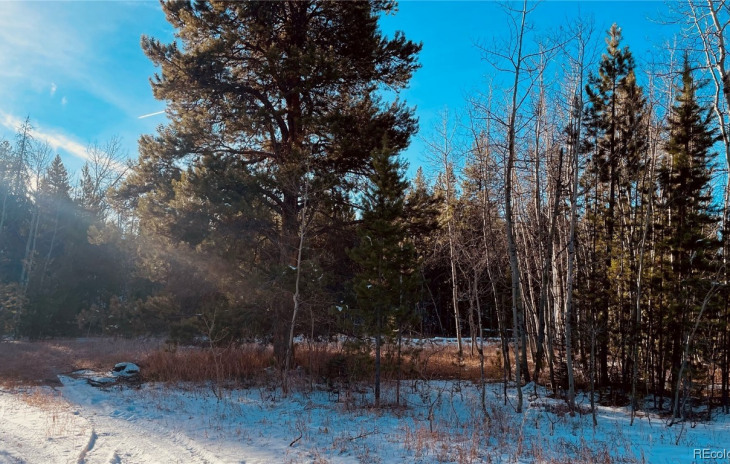 33225 Filly Trail Photo