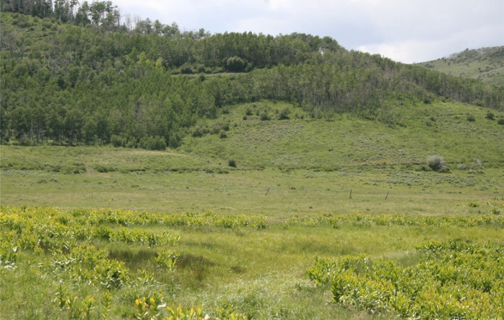 13000 County Road 7 Photo