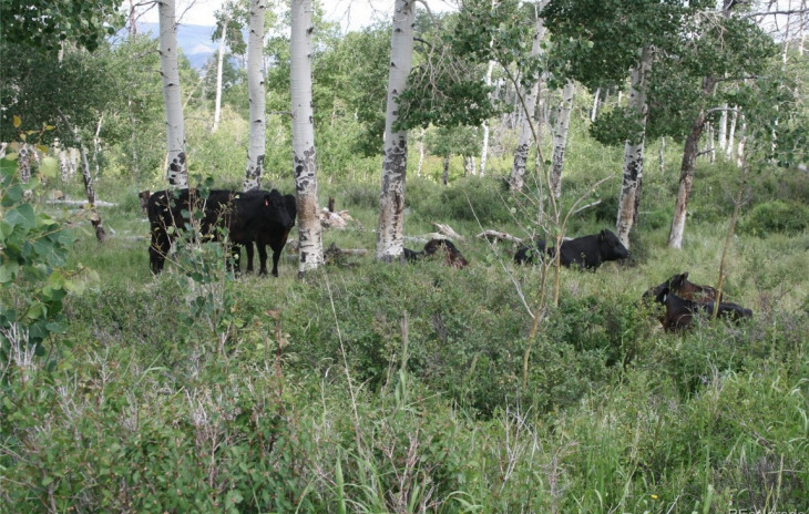 13000 County Road 7 Photo