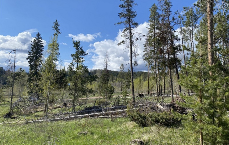 32416 Ute Trail Photo