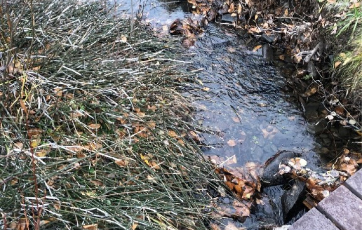 56475 County Road #62 Photo