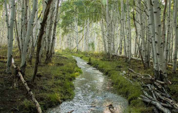 County Road 82 Photo