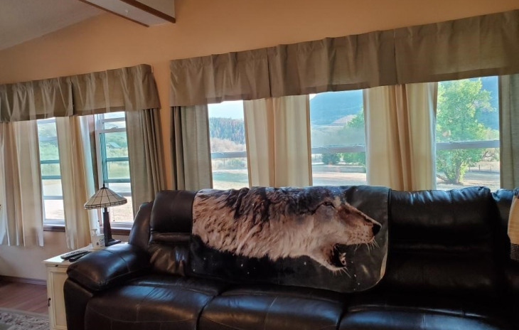 38600 Routt County Road 52 Photo