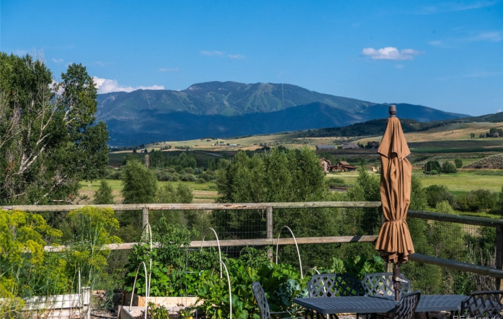 27458 Brandon Circle Photo