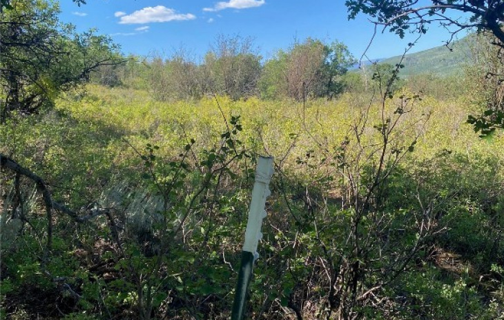 27165 Sundance Trail Photo