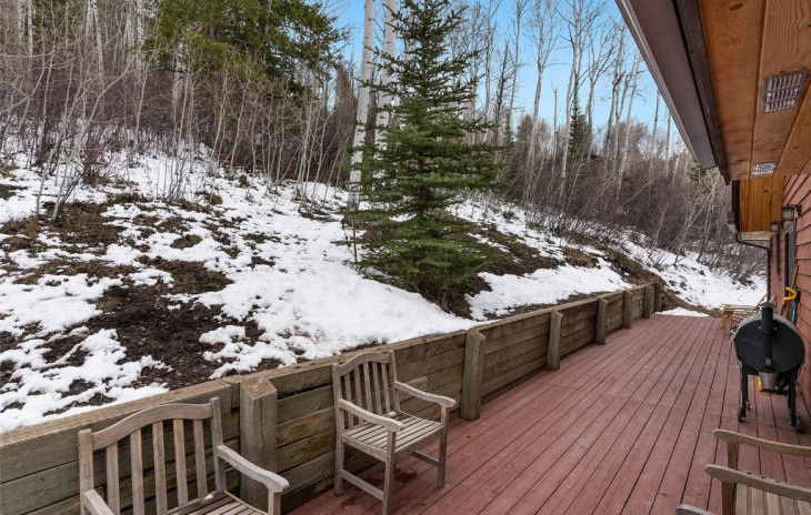 22660 Snowbird Trail Photo
