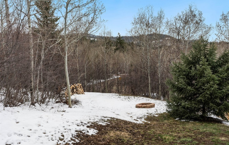 22660 Snowbird Trail Photo