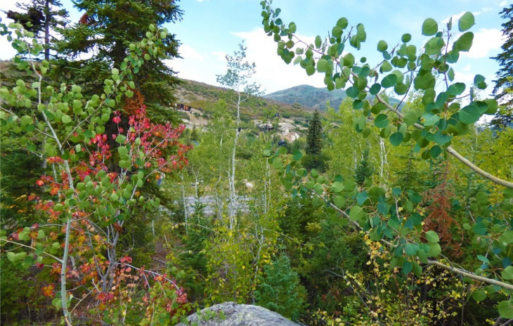 978 Steamboat Boulevard Photo