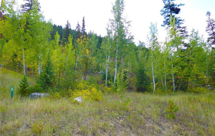 978 Steamboat Boulevard Photo