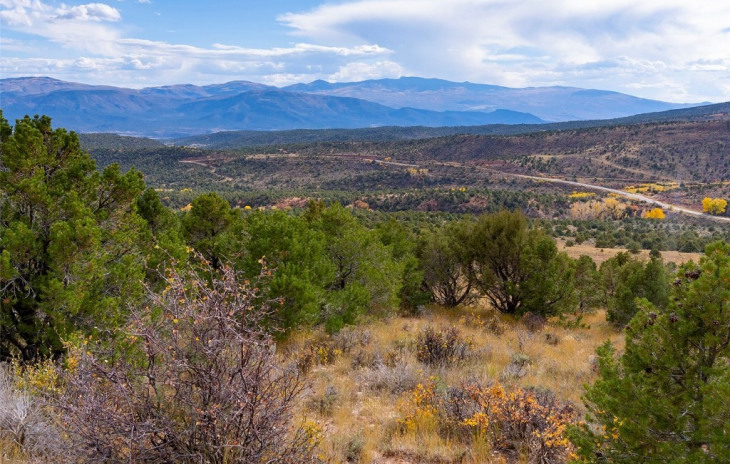 0000 State Highway 131 Photo