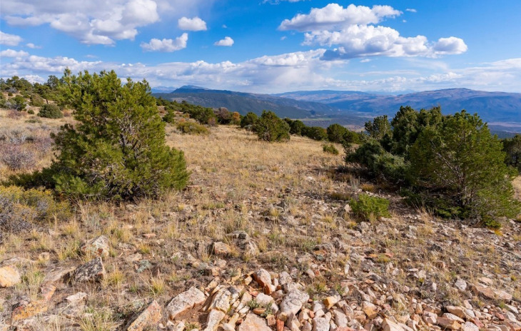 0000 State Highway 131 Photo