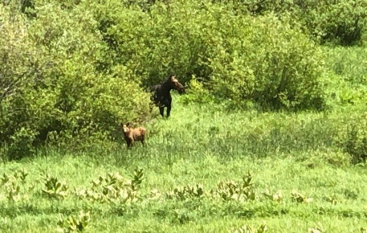 2655 Fish Creek Falls Road Photo