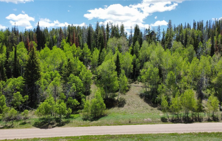 33185 Wenatchi Trail Photo