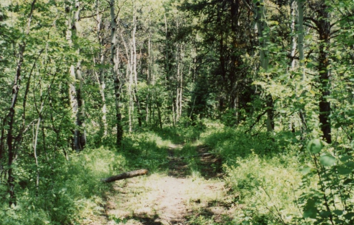 00000 County Road 18 Photo