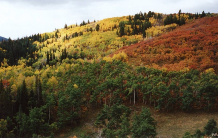 00000 County Road 18 Photo