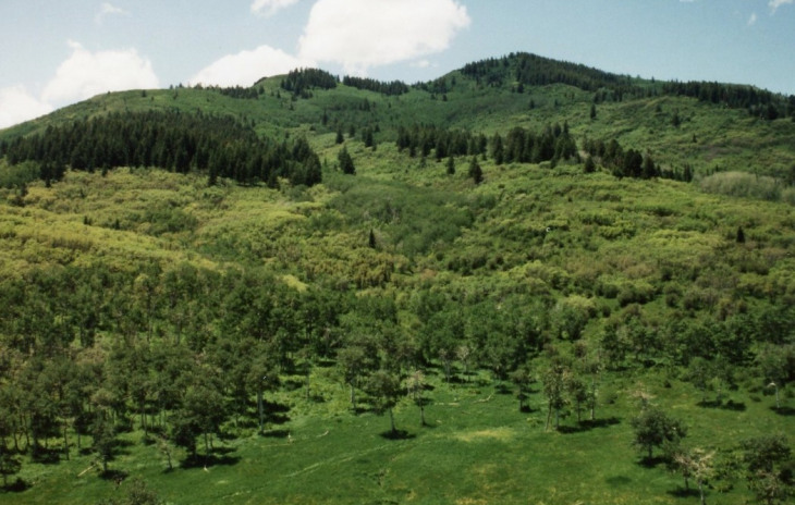 00000 County Road 18 Photo