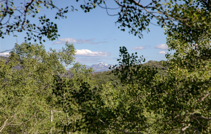 33290 Meadow Creek Drive Photo