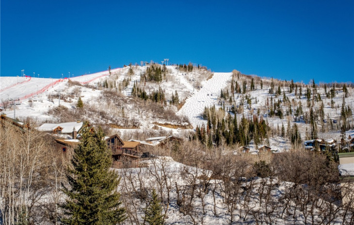 2420 Ski Trail Lane Photo