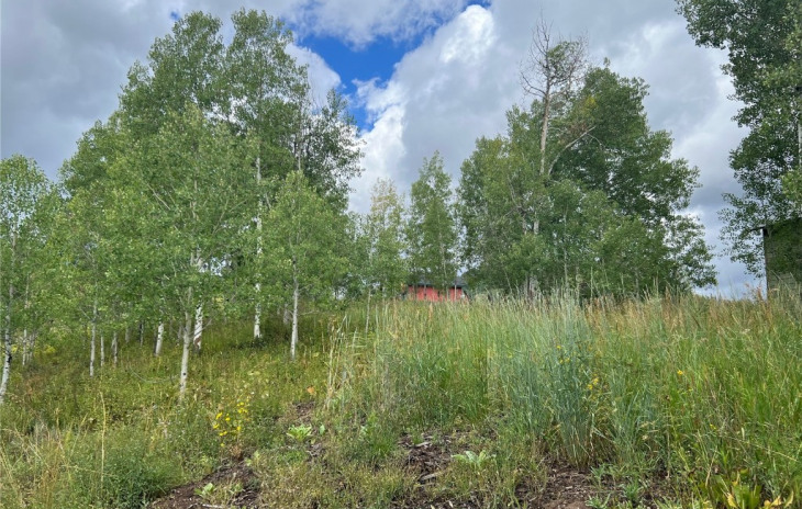 26925 Beaver Canyon Drive Photo