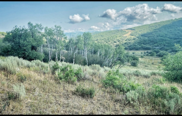 30025 County Road 179 Photo
