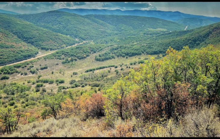 30025 County Road 179 Photo