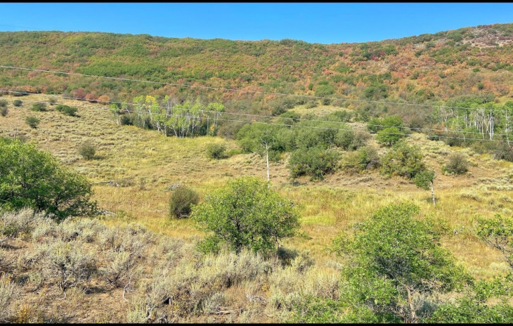 30025 County Road 179 Photo