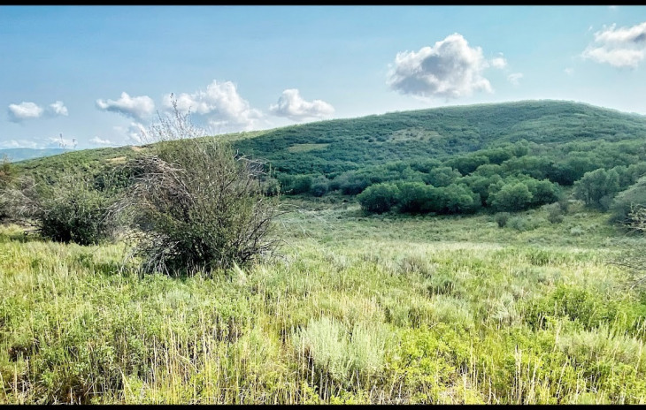 30025 County Road 179 Photo