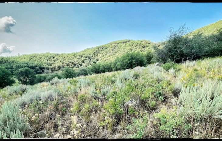 30025 County Road 179 Photo
